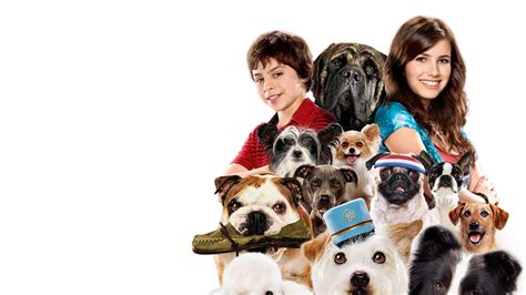 Hotel for Dogs (2009) - Backdrops — The Movie Database (TMDB)