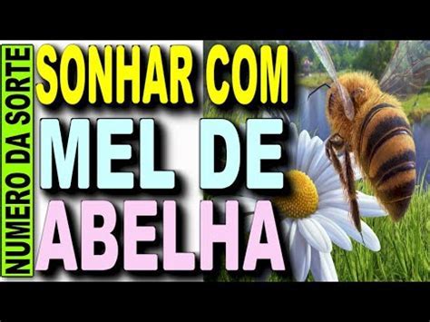 Abelha Jogo Do Bicho - SONHAR COM MEL DE ABELHA JOGO DO BICHO