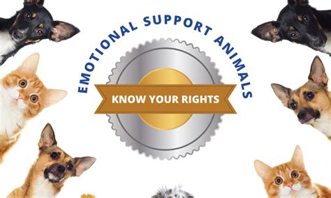 Know About Emotional Support Animals Fast Esa Letter