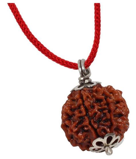 Astrodidi 4 Mukhi Rudraksha Pendant With Lab Certificate Buy Astrodidi