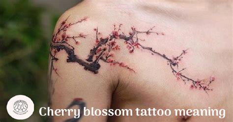 Cherry Blossom Tattoo Meaning A Guide To Design Symbolism