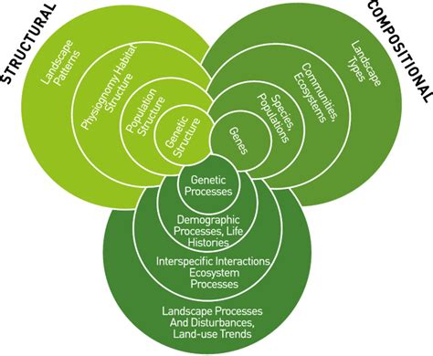 Compositional Structural And Functional Components Of Biodiversity