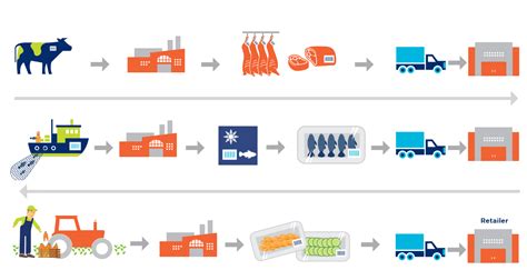 Trazabilidad De Productos Qué Es Tipos Y Cómo Automatizarla