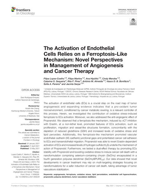 PDF The Activation Of Endothelial Cells Relies On A Ferroptosis Like