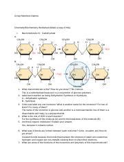 Chemistry Biochemistry Activity Andrew Fuentes Docx Group Members