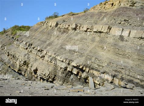 Joggins Fossil Cliffs On The Bay Of Fundy In Nova Scotia Canadas 15th