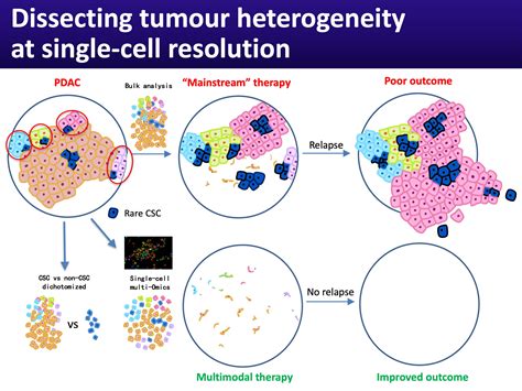 Single Cell Omics In Cancer A New Era For Studying Tumor Biology