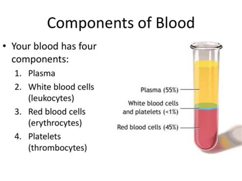 Physiology Ch 14 BLOOD SYSTEM Class Notes Part 1A Components Of