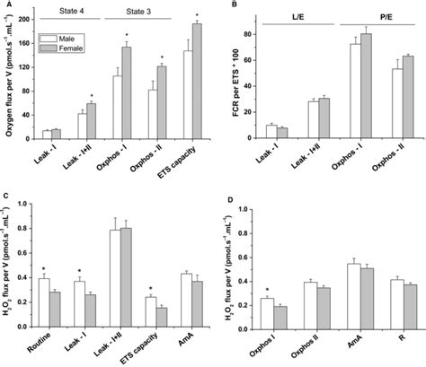 Sex Specific Differences In Mitochondria Biogenesis Morphology