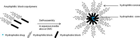 Frontiers Multifunctional Polymeric Micelles For Delivery Of Drugs