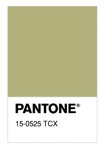 Colore Pantone Tcx Weeping Willow Numerosamente It