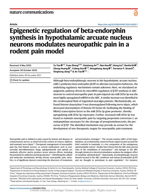 Pdf Epigenetic Regulation Of Beta Endorphin Synthesis In Hypothalamic