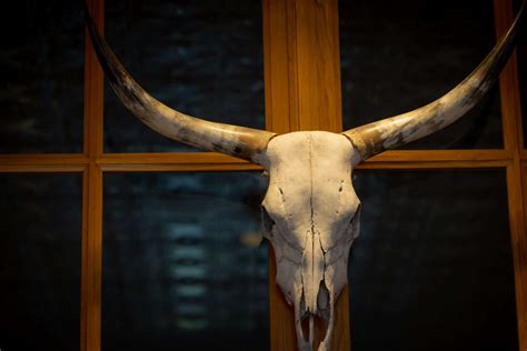 Future Meetings | TEXAS SURGICAL SOCIETY