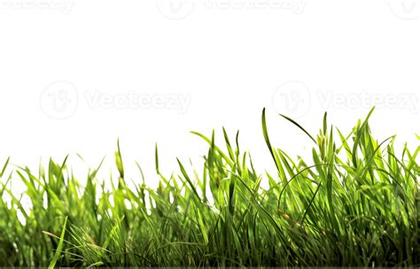 Side View Grass Template Generated 24190121 Png