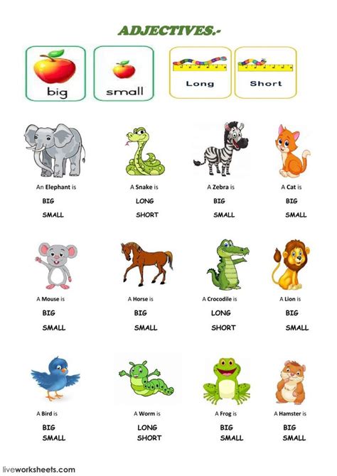 an image of different animals and their names