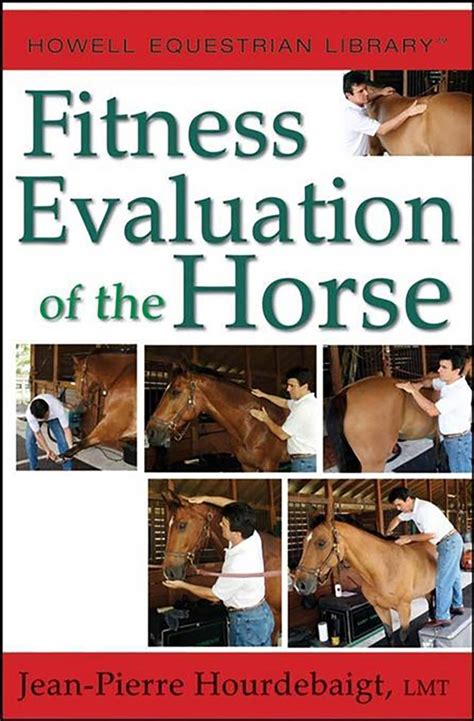 Fitness Evaluation of the Horse | VetBooks