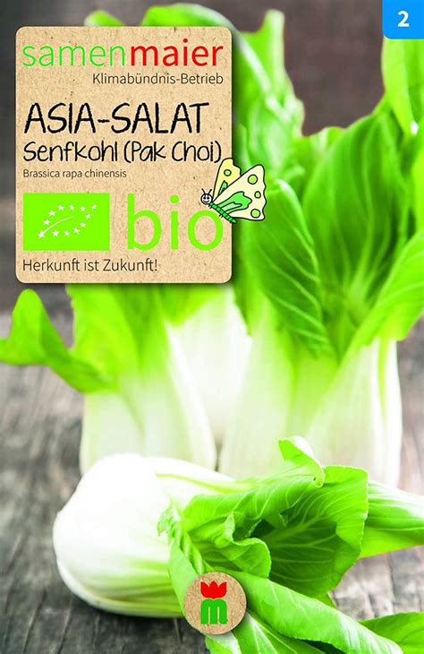 Bio Asia Salat Senfkohl Pak Choi Brassica Rapa Chinensis Amazon