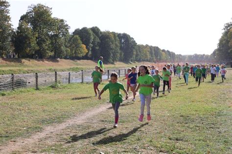 Odr An Jesnji Kros Izuzetan Dan Na Pirotskom Keju Pirot Vesti