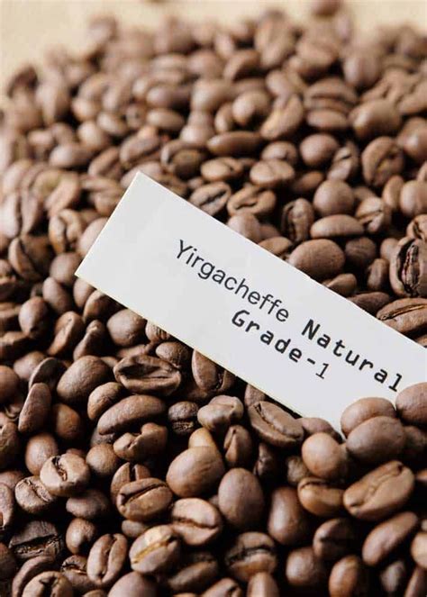 Ethiopian Yirgacheffe Coffee Ultimate Brewing Guide