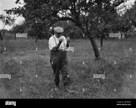 Water Dowsing Divining Hi Res Stock Photography And Images Alamy