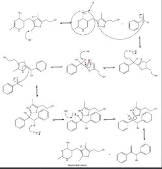 Solved Is This The Correct Mechanism For The Thiamine Chegg