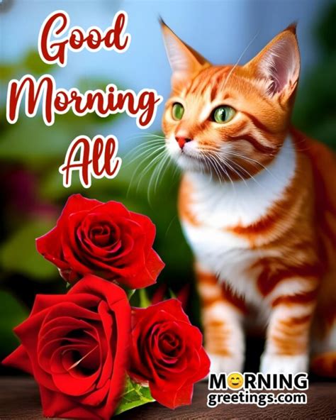 Adorable Good Morning Cat Greetings To Start Your Day Morning Greetings