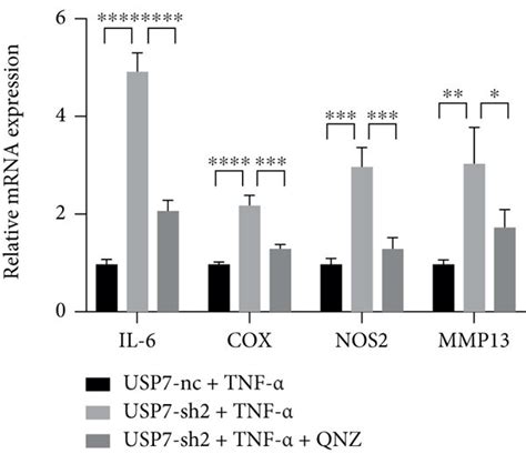 Nf κb Signaling Inhibitor Qnz Reverses Chondrocyte Proliferation