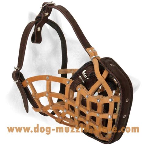 buy leather basket dog muzzle attack training
