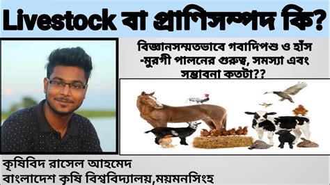 What Is Livestock And Livestock Farming And Its Challenges And