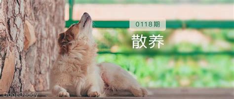 狗狗家中散养，并非遥不可及，如何训练狗狗散养？ 知乎