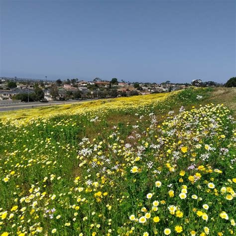 Montgomery-Waller Community Park & Recreation Center - Southern San ...