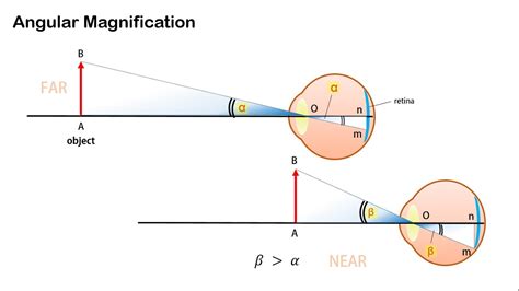 Angular Magnification And Magnifying Power Of Optical Instruments Youtube