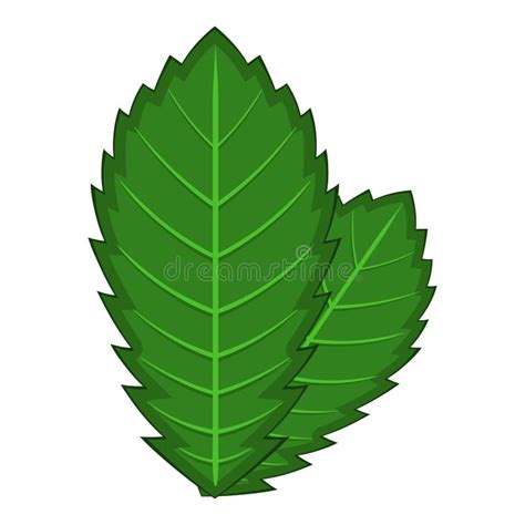 Elm Leaf Icon Cartoon Style Stock Vector Illustration Of Ecology