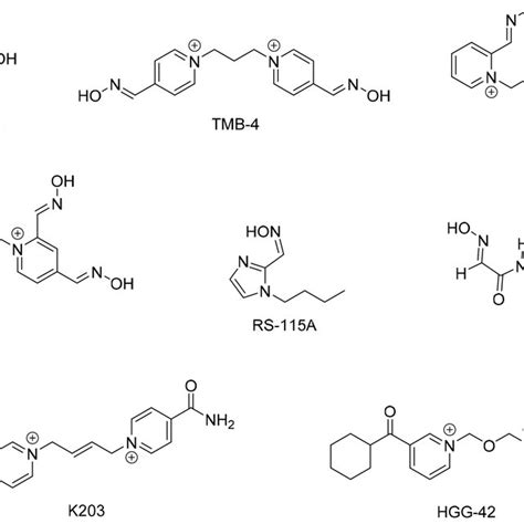 Structures Of Some Oximes Download Scientific Diagram