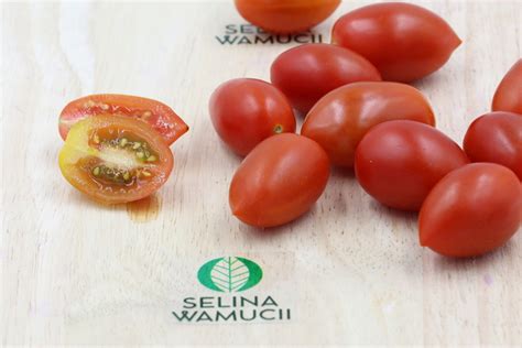 Uganda Cherry Tomatoes Exporter And Supplier Good Prices