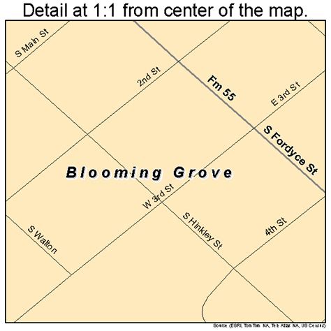 Blooming Grove Texas Street Map 4808788