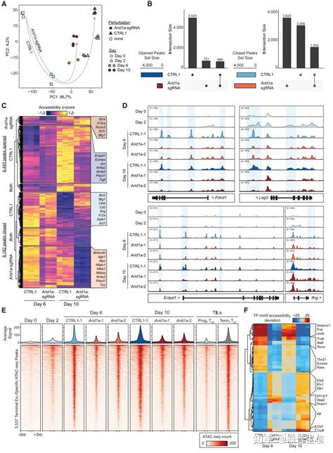 Perturb Seqcrispr Single Cell