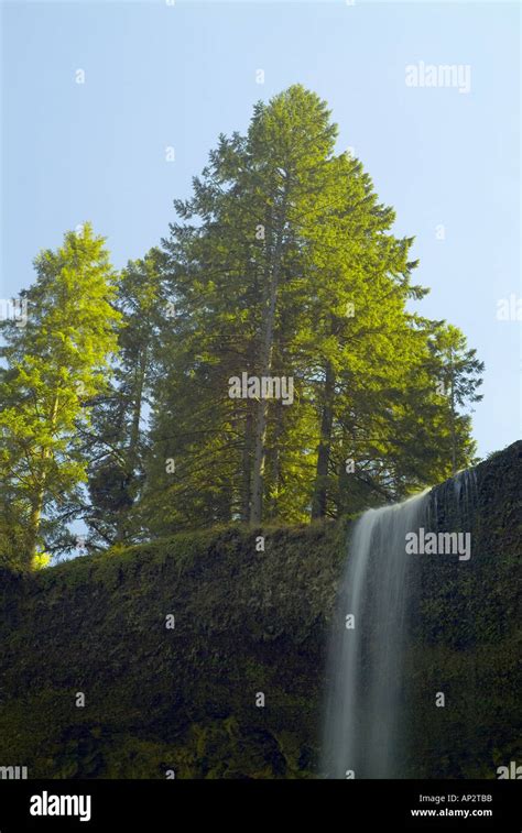 South Falls at Silver Falls State Park near Silverton Oregon OR ...