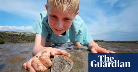 To Collect Or Not To Collect Are Fossil Hunting Laws Hurting Science Fossils The Guardian