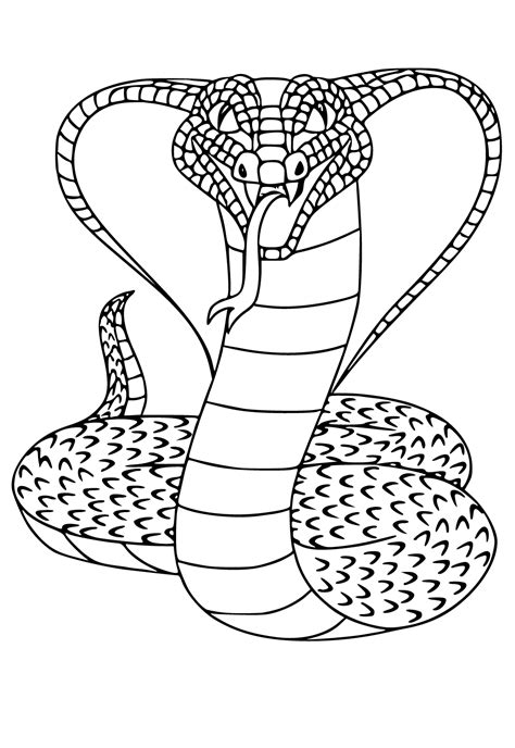 Free Printable Reptile Cobra Coloring Page Sheet And Picture For