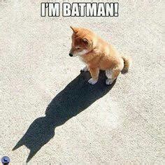 I am Batman - Meme by Grylo :) Memedroid