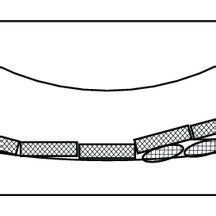 Schematic Diagram Describing The Possible Mechanism Of The Tribological