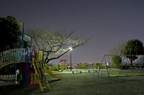 唐沢公園（神奈川県横浜市南区）の夜景写真 こよなく夜景を愛する人へ