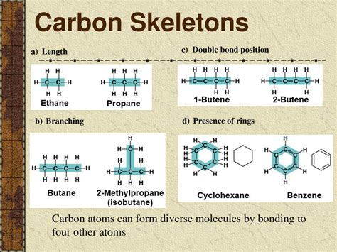 Macromolecules Ppt Download