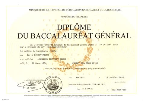 Denis TRUFFAUT Diplômes Master MIAGE Licence EPITA DUT Baccalauréat BAFA