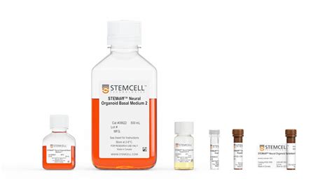 STEMdiff Midbrain Organoid Differentiation Kit STEMCELL Technologies