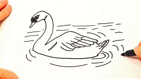 How To Draw A Swan Swan Drawing Lesson Step By Step Youtube