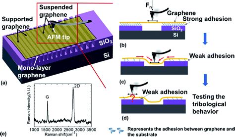 A Hillock Like Phenomenon With Low Friction And Adhesion On A Graphene