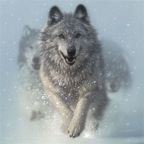 Running Wolves – Snow Plow – Square – Image Conscious