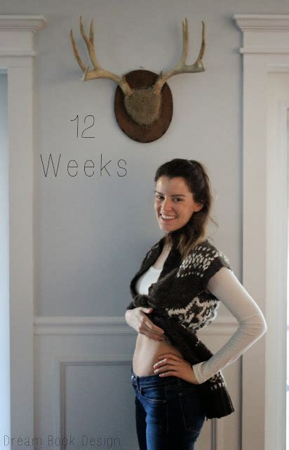 12 Weeks Pregnant Dream Book Design